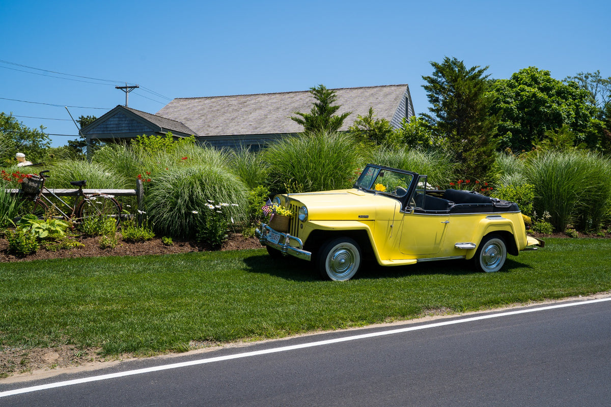 A yellow open-top classic settles among garden flowers, as though summer had chosen a parking place.