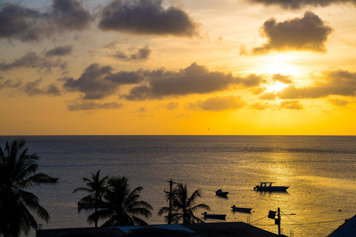 Small boats and silhouetted palms beneath a golden sunset.