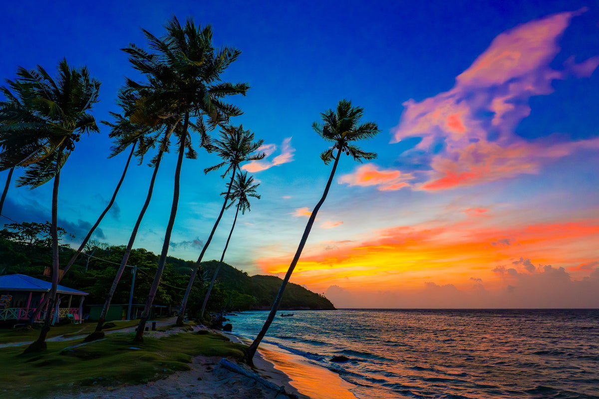 Leaning palms frame a beach beneath orange and pink evening clouds.