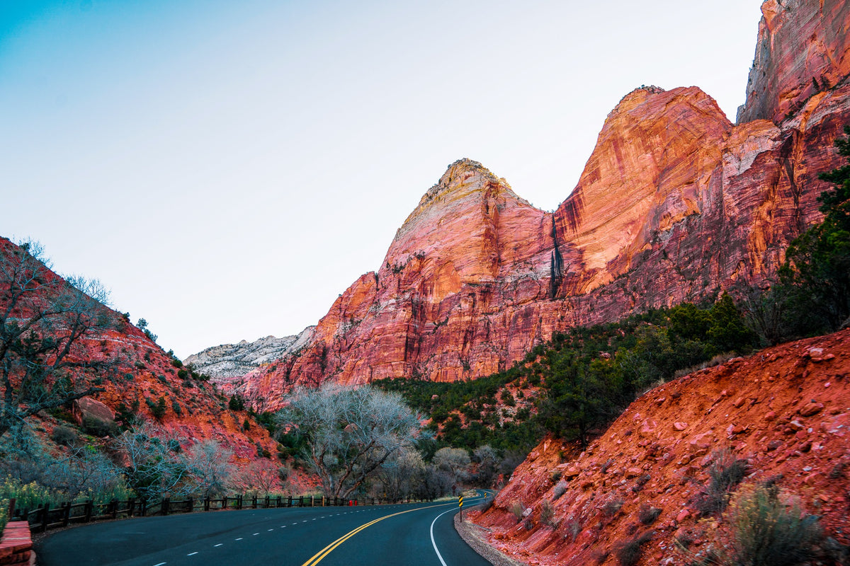 A canyon road passes beneath rose-colored cliffs and bare trees.